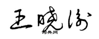 曾慶福王曉衡草書個性簽名怎么寫