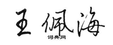 駱恆光王佩海行書個性簽名怎么寫
