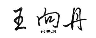 駱恆光王向丹行書個性簽名怎么寫