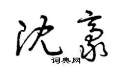 曾慶福沈豪草書個性簽名怎么寫