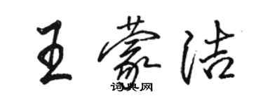 駱恆光王蒙潔行書個性簽名怎么寫