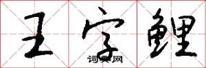 語族的意思_語族的解釋_國語詞典