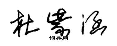 朱錫榮杜紫涵草書個性簽名怎么寫