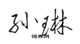 駱恆光孫琳行書個性簽名怎么寫