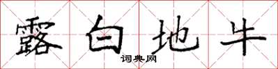 袁強露白地牛楷書怎么寫