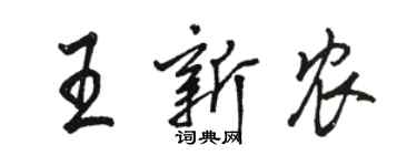 駱恆光王新農行書個性簽名怎么寫