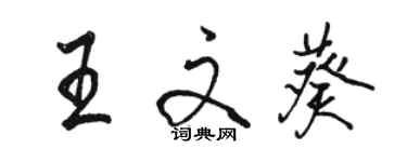 駱恆光王文葵行書個性簽名怎么寫