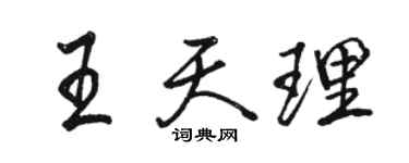 駱恆光王天理行書個性簽名怎么寫