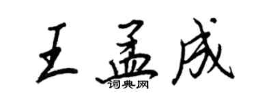 王正良王孟成行書個性簽名怎么寫