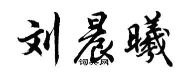 胡問遂劉晨曦行書個性簽名怎么寫