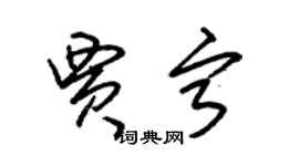 朱錫榮賈寧草書個性簽名怎么寫