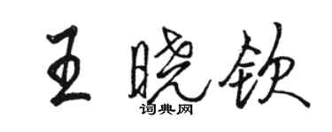 駱恆光王曉欽行書個性簽名怎么寫