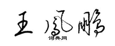 梁錦英王鳳鵬草書個性簽名怎么寫