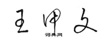 駱恆光王甲文草書個性簽名怎么寫