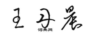 駱恆光王丹晨草書個性簽名怎么寫