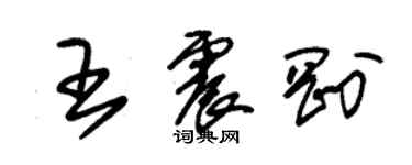 朱錫榮王震剛草書個性簽名怎么寫