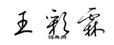 梁錦英王彩霖草書個性簽名怎么寫