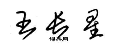 朱錫榮王長星草書個性簽名怎么寫