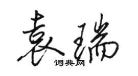 駱恆光袁瑞行書個性簽名怎么寫