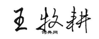 駱恆光王牧耕行書個性簽名怎么寫