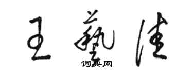 駱恆光王藝佳草書個性簽名怎么寫