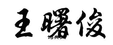 胡問遂王曙俊行書個性簽名怎么寫