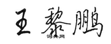 駱恆光王黎鵬行書個性簽名怎么寫
