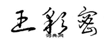 曾慶福王彩密草書個性簽名怎么寫