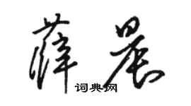 駱恆光薛晨草書個性簽名怎么寫