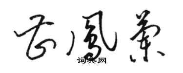 駱恆光曹鳳蘭草書個性簽名怎么寫