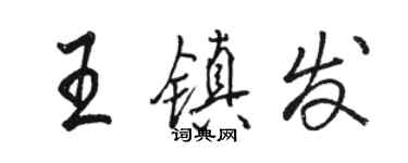 駱恆光王鎮發行書個性簽名怎么寫