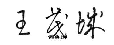 駱恆光王茂城草書個性簽名怎么寫