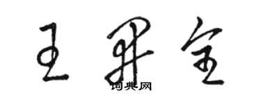 駱恆光王開全草書個性簽名怎么寫