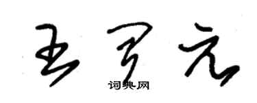 朱錫榮王聞元草書個性簽名怎么寫