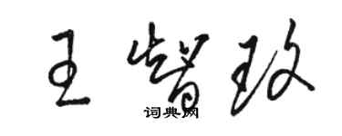 駱恆光王智玫草書個性簽名怎么寫