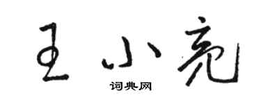 駱恆光王小亮草書個性簽名怎么寫