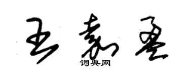 朱錫榮王嘉盈草書個性簽名怎么寫