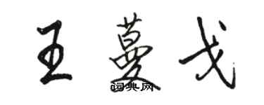 駱恆光王蔓戈行書個性簽名怎么寫