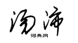 朱錫榮湯沛草書個性簽名怎么寫