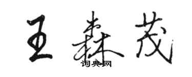 駱恆光王森茂行書個性簽名怎么寫