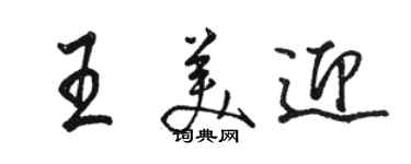 駱恆光王美迎行書個性簽名怎么寫