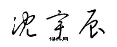 梁錦英沈宇辰草書個性簽名怎么寫