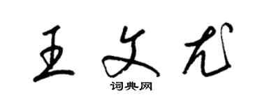 梁錦英王文尤草書個性簽名怎么寫