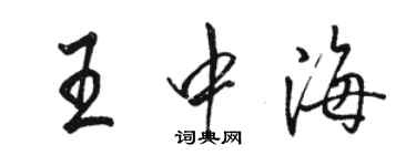 駱恆光王中海行書個性簽名怎么寫