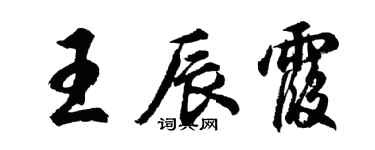 胡問遂王辰霞行書個性簽名怎么寫