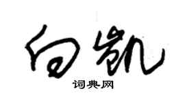 朱錫榮向凱草書個性簽名怎么寫