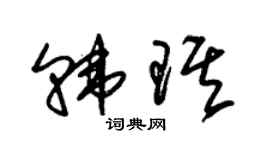 朱錫榮韓琪草書個性簽名怎么寫