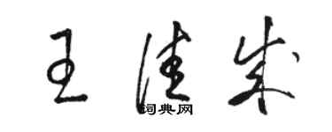 駱恆光王佳成草書個性簽名怎么寫