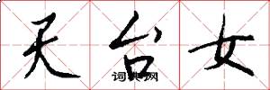 天台女怎么寫好看