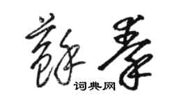 駱恆光蘇秦草書個性簽名怎么寫